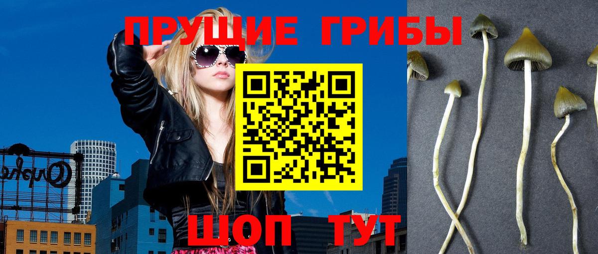 Ставрополь  Псилоцибиновые грибы прущие грибы  Вход с VPN 