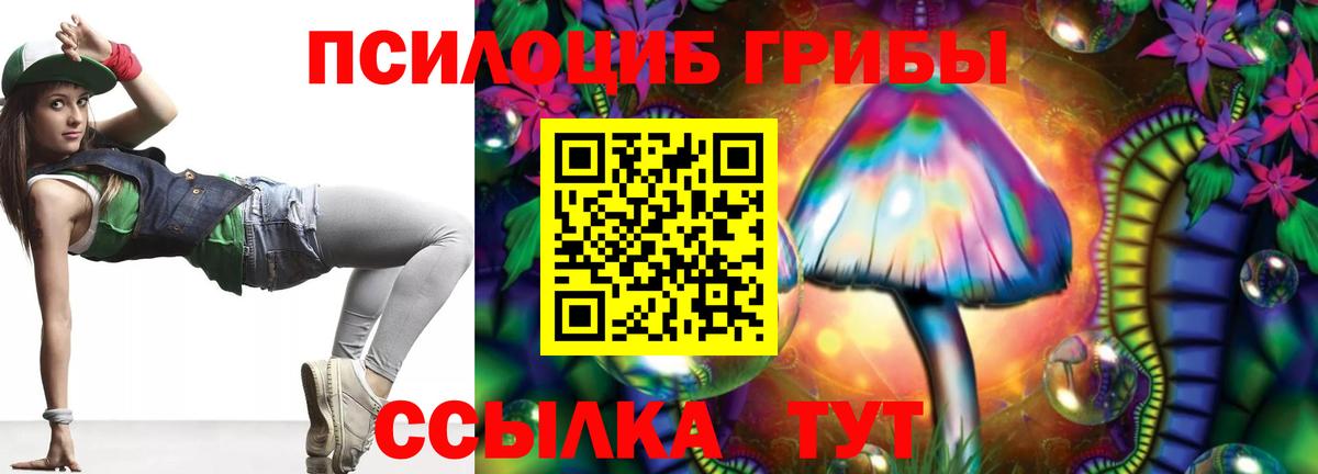 Галлюциногенные грибы Psilocybine cubensis Ставрополь